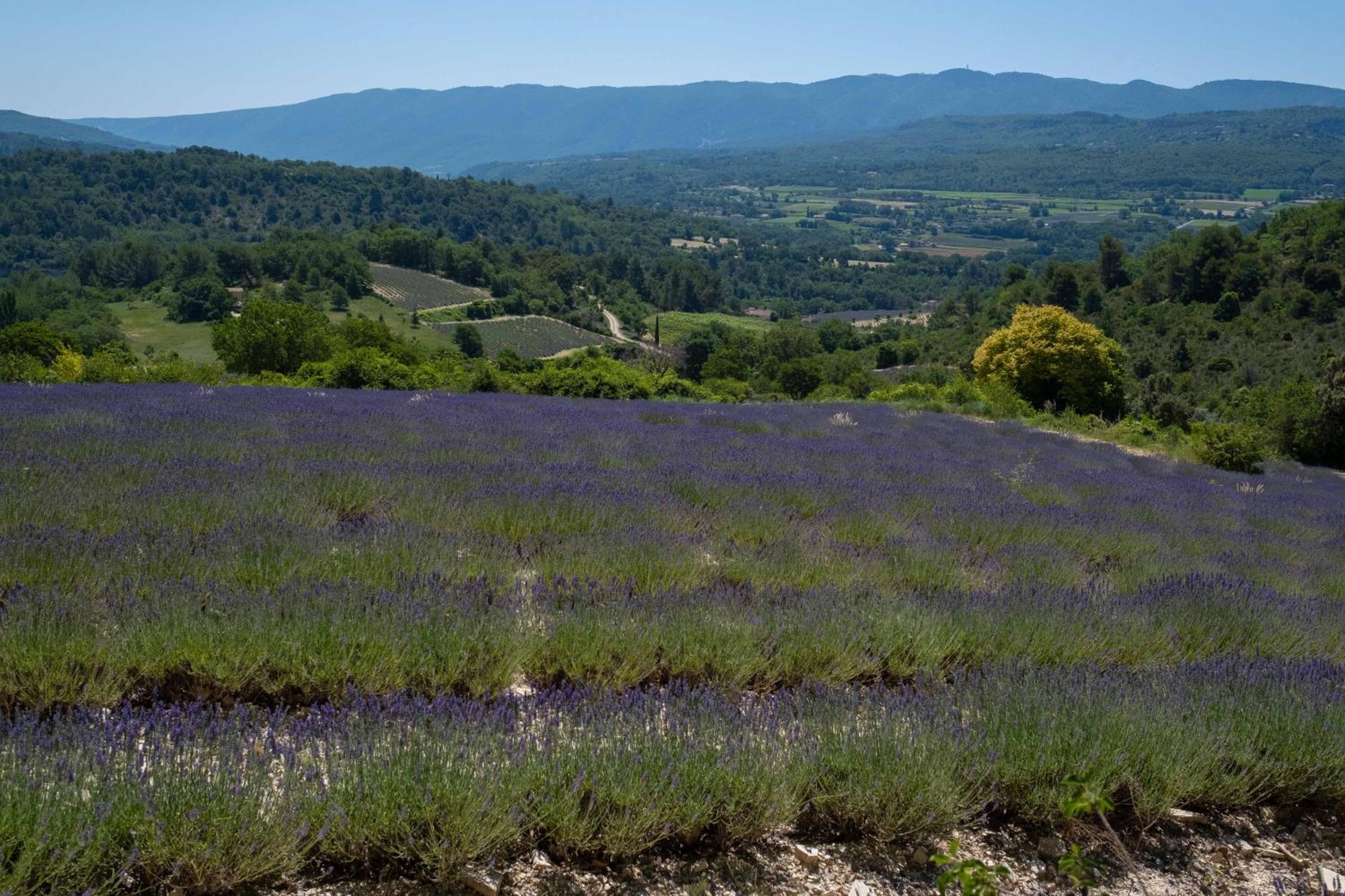 Maison De Campagne La Teranga Au Coeur Du Luberon Apt Exterior photo